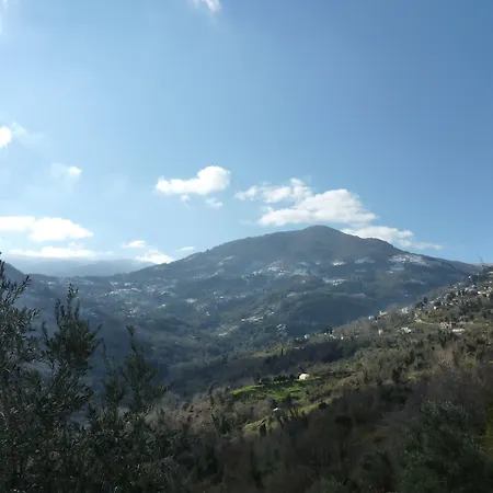 Atrapos 3* Κισσός