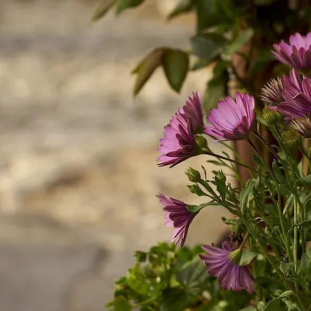 Atrapos Apart Otel 3*